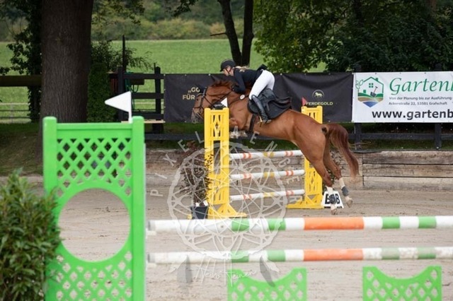 2B4A1464 | pixelfaenger - Realisiert mit Pictrs.com