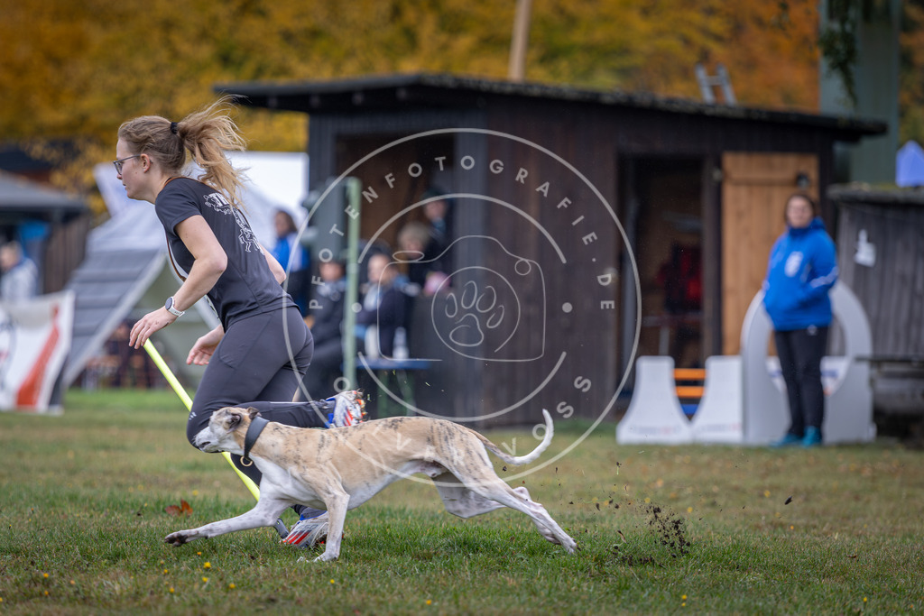Pfotenfotografie_DV3A0713 | Hundefotografie, Tierfotograf, Pfotenfotografie, Fotoshooting Hund, Hunde Portrait, Hundesport, Hundeportraits, Heideshooting, Hunde, Sportfotograf, Hundefotograf, Turnierhundsport, THS,  - Realisiert mit Pictrs.com