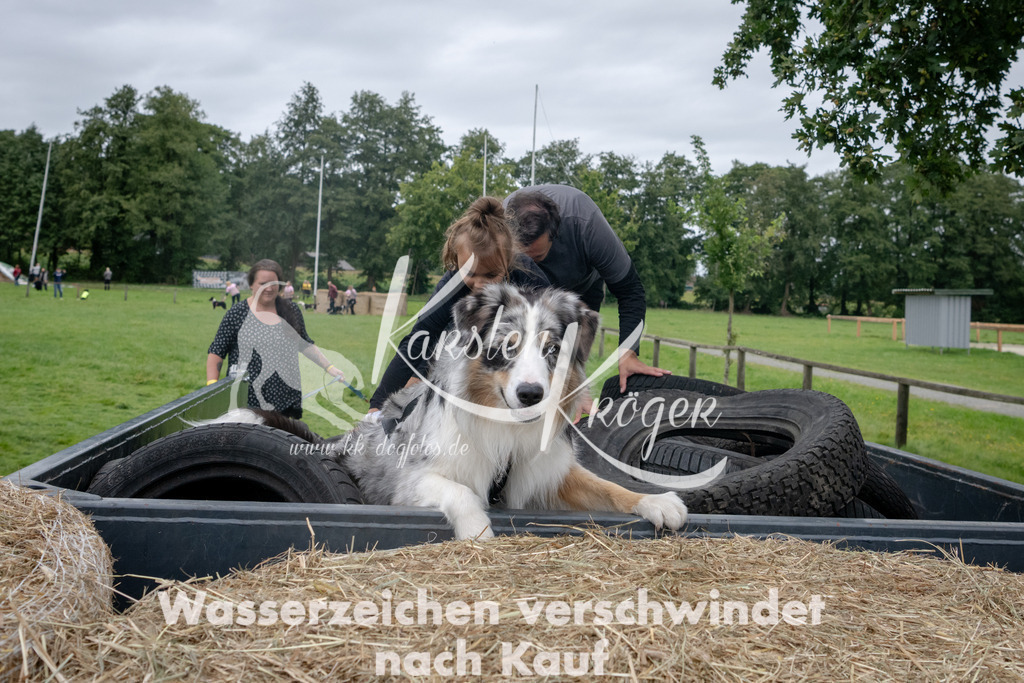 1300_ZZ92936 | kk-dogfotos