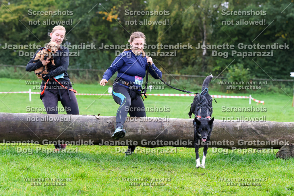 Dog Paparazzi -  SD1026-1062 | Dog Paparazzi Jeanette Grottendiek Fotografie & Videografie - Realisiert mit Pictrs.com