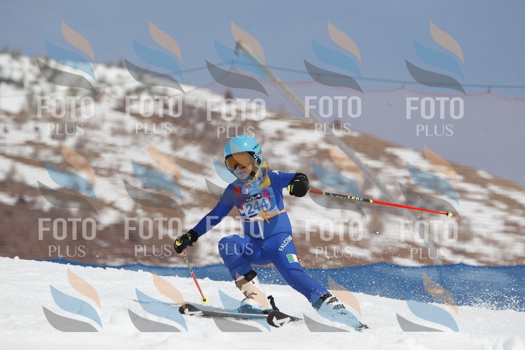 _U3G2763 | holidayphoto