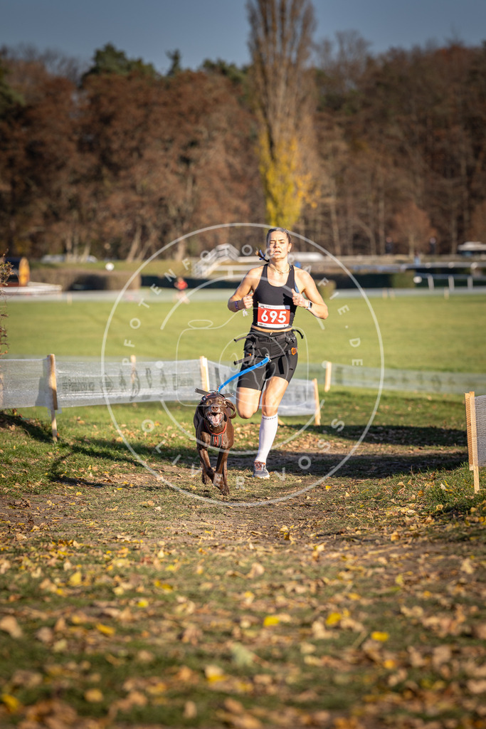 CaniXpix_DV3A1362 | Hundefotografie, Tierfotograf, Pfotenfotografie, Fotoshooting Hund, Hunde Portrait, Hundesport, Hundeportraits, Heideshooting, Hunde, Sportfotograf, Hundefotograf, Turnierhundsport, THS,  - Realisiert mit Pictrs.com