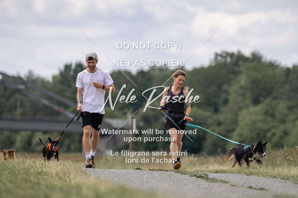 nelerasche_BuHu2026_SaCC1100-1200_118 | nelerasche