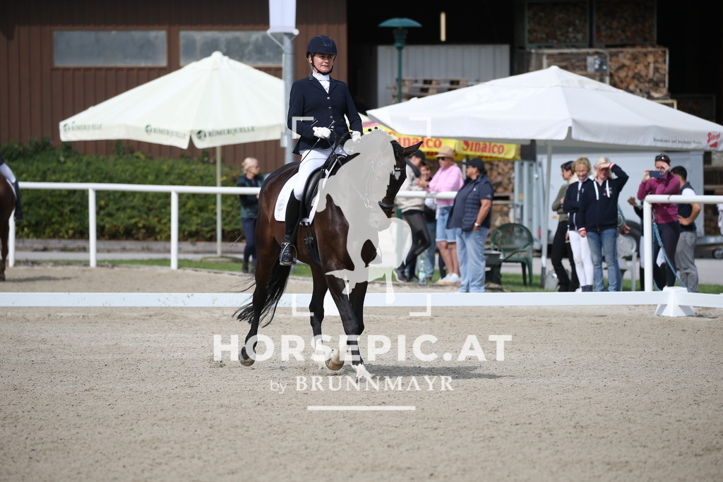 DL2Q2926 | Willkommen bei Brunnmayr - Design & Fotografie – Ihrem Spezialisten für Reitturniere und Pferdeveranstaltungen in Oberösterreich, Salzburg und Bayern! Seit über 17 Jahren sind wir leidenschaftlich dabei.