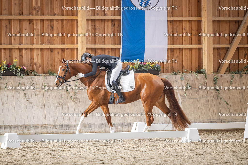 _D5A8628 | Emotionale Pferde- & People-Fotografie rund um Heidelberg, Leimen & Umgebung. Natürliche Fotos von Pferd, Mensch & Familie. Jetzt Termin sichern!