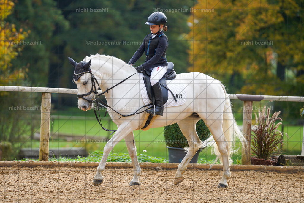 20221008-FAH01184 | Diessen am Ammersee, 2022, Dressur- und Springturnier, Reitsportbilder, Turnierfotografen Bayern, Pferdefotografen, Fotoagentur Herrmann, Turnierbilder