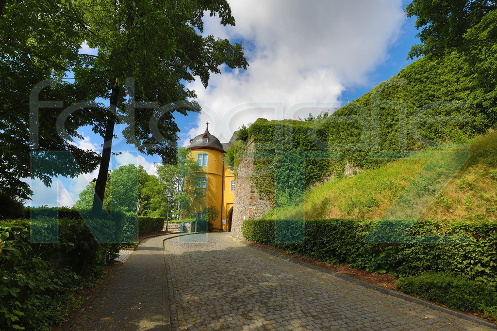 2022-06-25 10-17-35_5D411542_2 | Nitz Fotografie aus Montabaur bietet Ihnen hier die Möglichkeit Bilder auszusuchen und zu bestellen. 