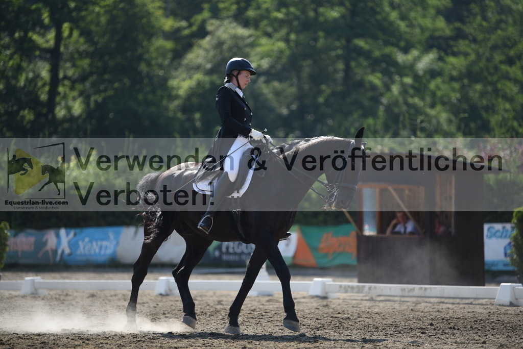 DSC_2342 | equestrian-live-com