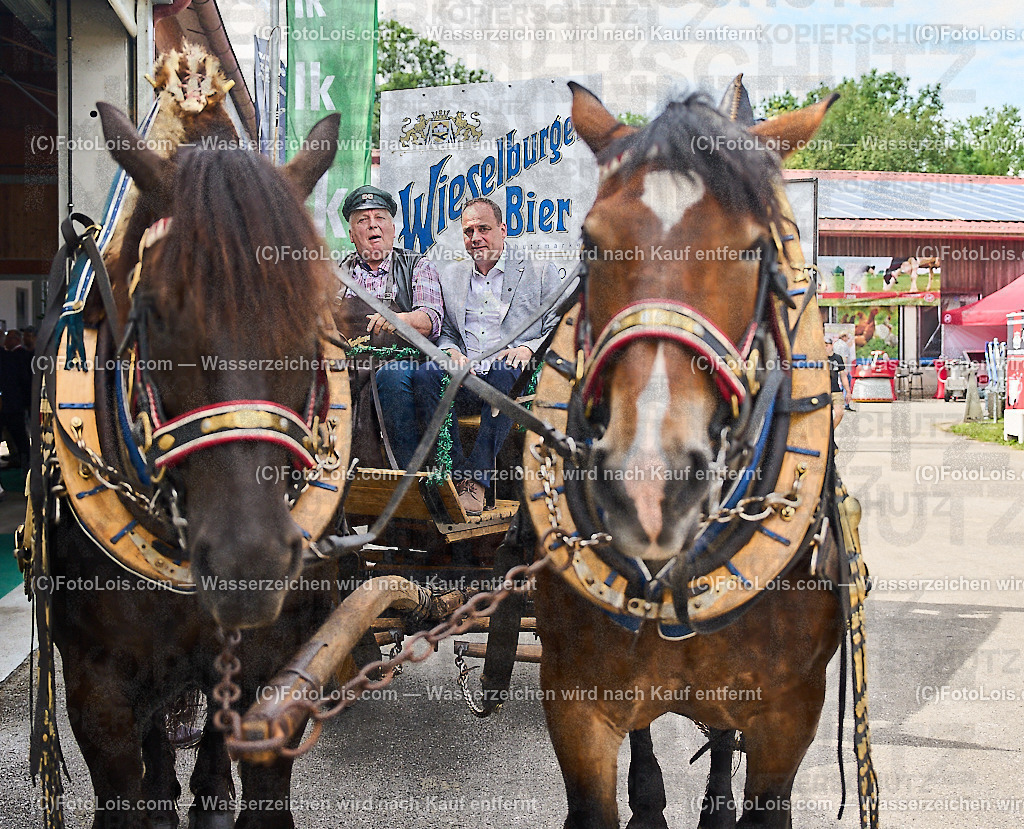ALP9432_MESSE_LAND-FORST-JAGD_Bierwagen_Heindl Hannes | (C)FotoLois.com, Alois Spandl, WIESELBURGER MESSE LAND-FORST-JAGD, Eröffnung mit Messerundgang mit BM Norbert Totschnig, LH Johanna Mickl-Leitner, LH-Stv. Stephan Pernkopf, LLK Johannes Schmuckenschlager, GF Marion Heim, Hannes Heindl, Bgm. Josef Leitner, Bgm. Franz Rafetseder, ..., Do 6. Juni 2024.