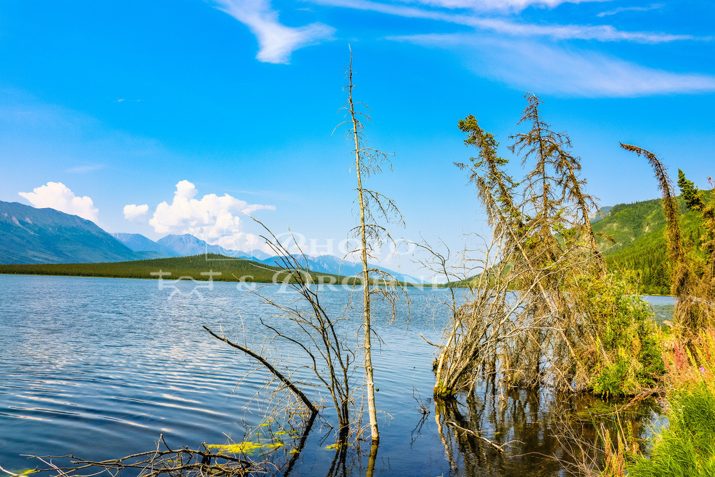 IMG_4443 | Erleben Sie den Zauber des Mittelrheins und entdecken Sie die atemberaubende Auswahl an Fotos und Bildern bei Rheinfotos. Wir bieten eine vielfältige Auswahl an Produkten wie Poster, Karten, Sticker, Textilien und Geschenkartikeln und Fototouren. - Realisiert mit Pictrs.com