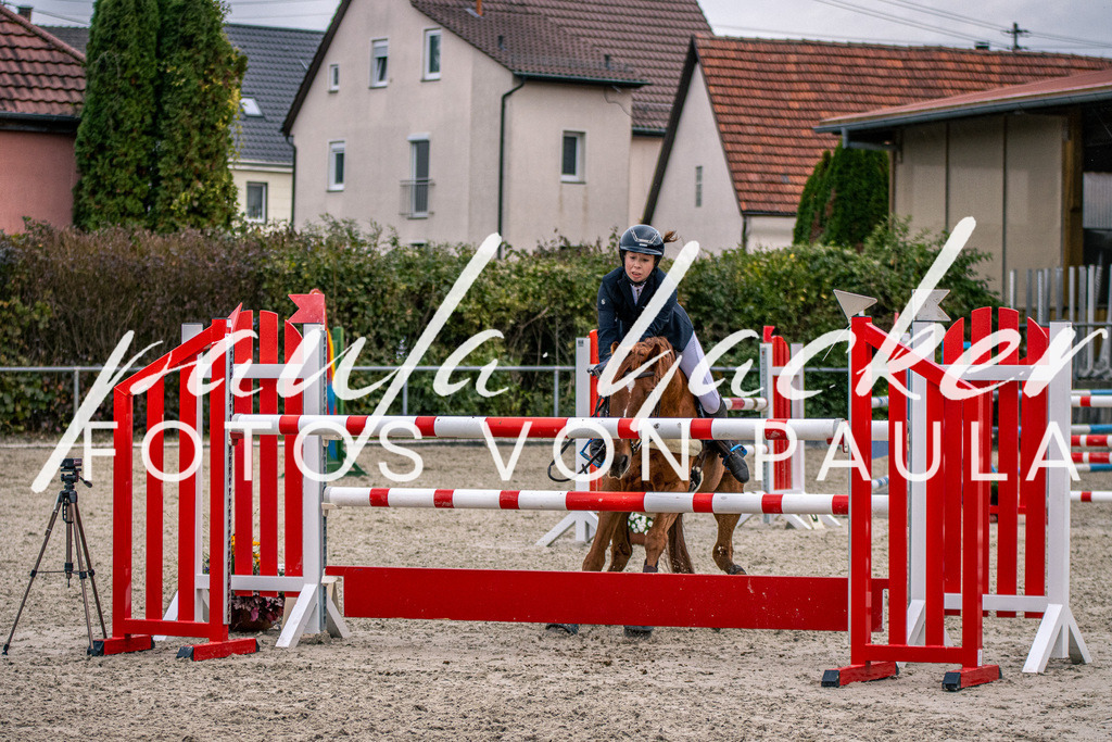 IMG_6091 | Erleben Sie dynamische Sport- und emotionale Tierfotografie in Süddeutschland mit Fotos von Paula. Spezialisiert auf Pferde- und Hundefotografie sowie Sportevents. Kontaktieren Sie mich für einzigartige und ausdrucksstarke Bilder Ihrer besonderen Momente.