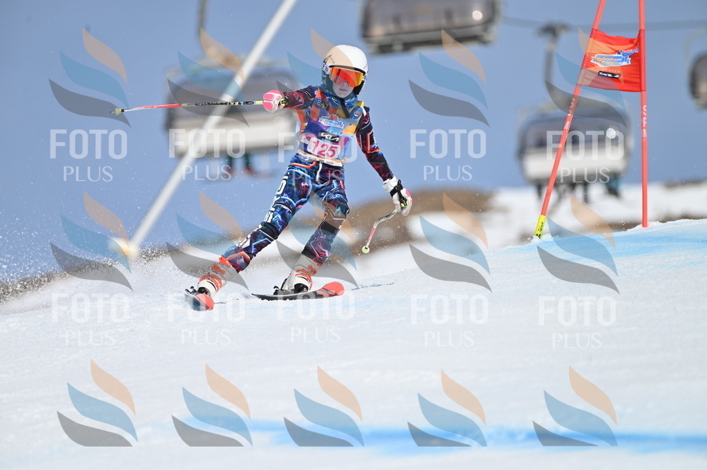 BGV_9894 | holidayphoto