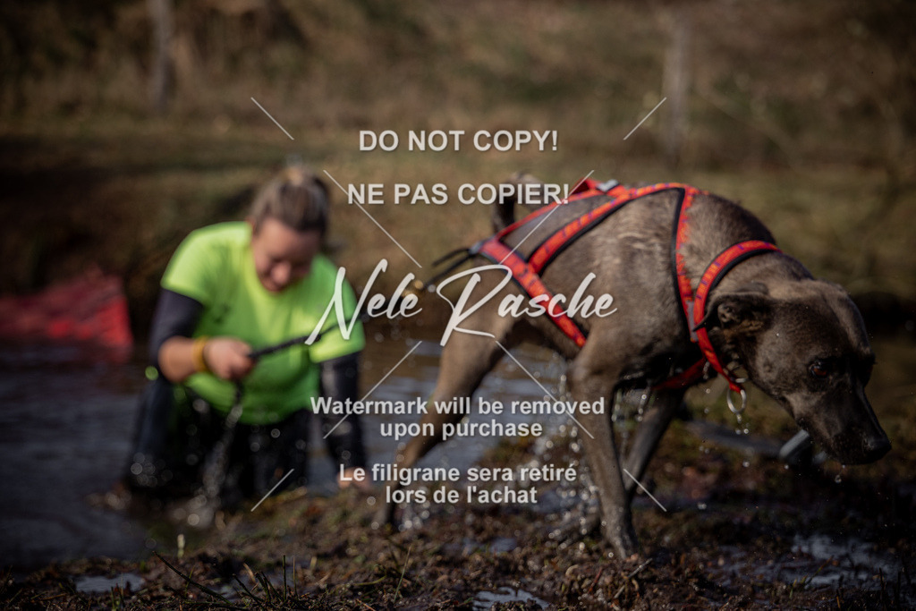 nelerasche_FS1400-1430_481 | nelerasche