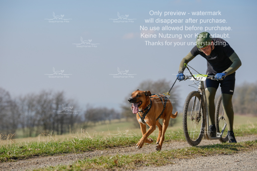 Scooter_Lang-46 | stephaniefillaphotographie - Realisiert mit Pictrs.com