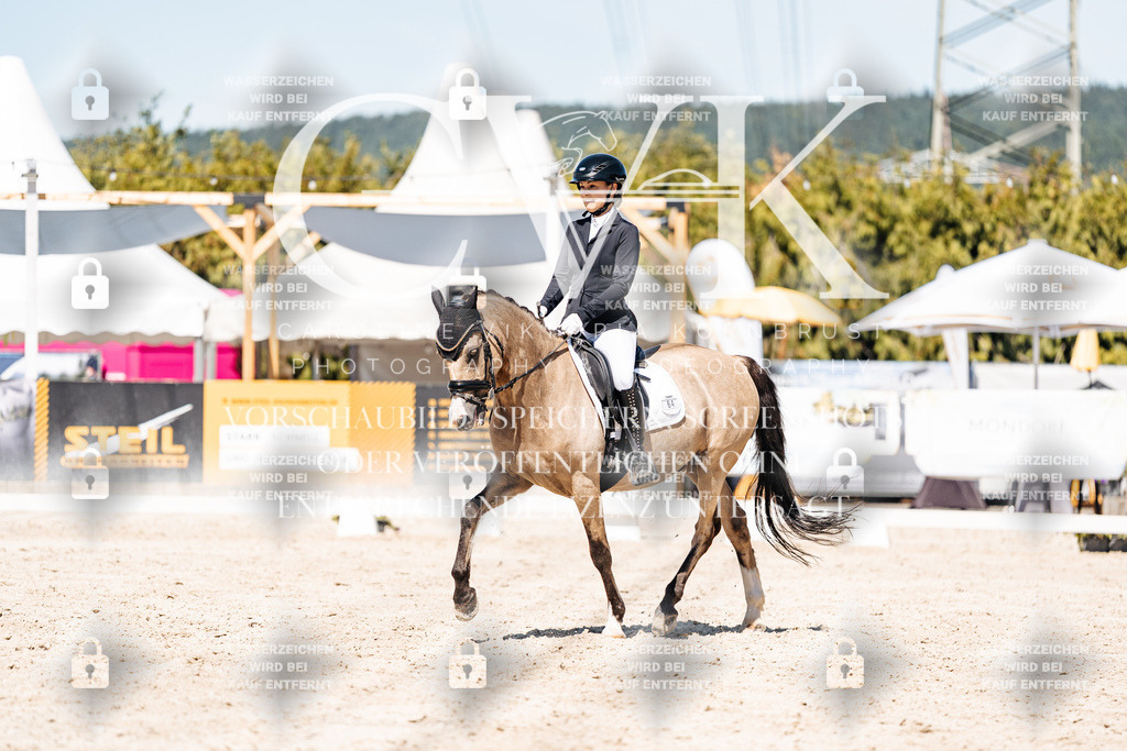 CK909874 | Turnierfotografie Pferdefotografie Trier Rheinland-Pfalz Pferdesport Reitsport Tierfotografie Sportfotografie Pferdevideo Pferdevideografie Equestrianvideography equestrianphotography  - Realisiert mit Pictrs.com