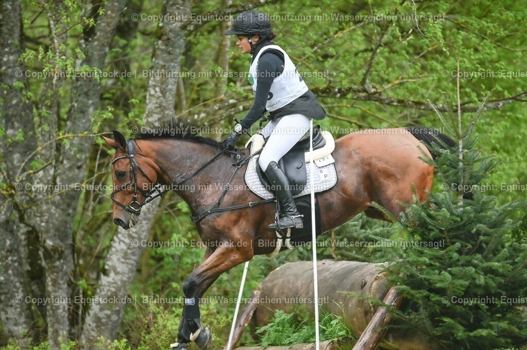 20230513_CCI2_Section2_Gelände_0578 | equistock