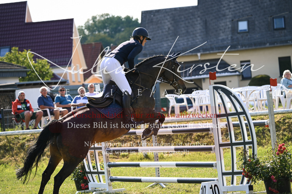 DSC_1442 | Pferde- und Turnierfotografie in Westsachsen. Pferdeportraits, Auftragszeichnungen und intuitive Kunst.