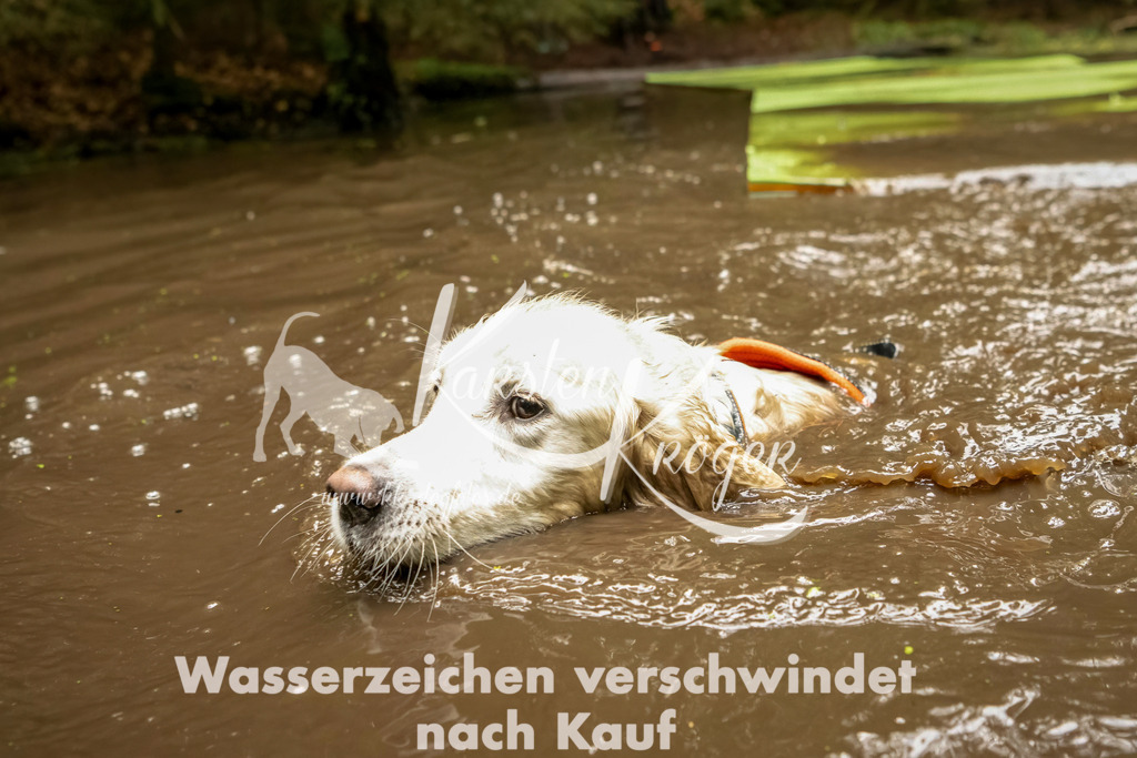 1207_ZZ92718-Bearbeitet | kk-dogfotos