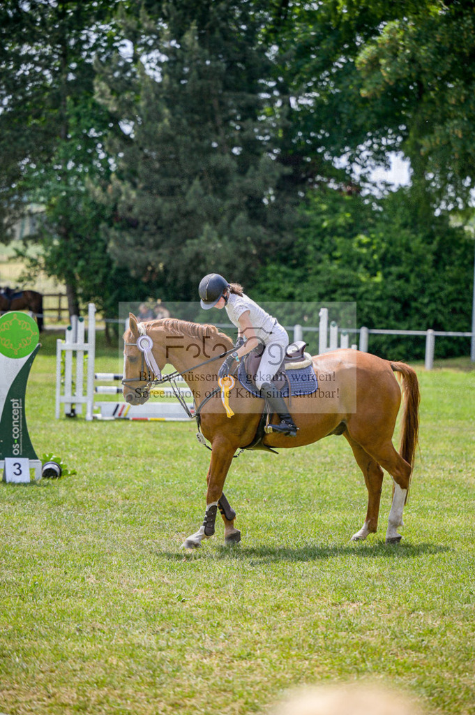 Reitturnier Voxtrup | Entdecke hochwertige Reitturnierfotos von Foto Oger. Professionell, emotional und authentisch – jetzt Lieblingsmomente im Shop bestellen.Deutschlandweite Turnierfotografie. - Realisiert mit Pictrs.com