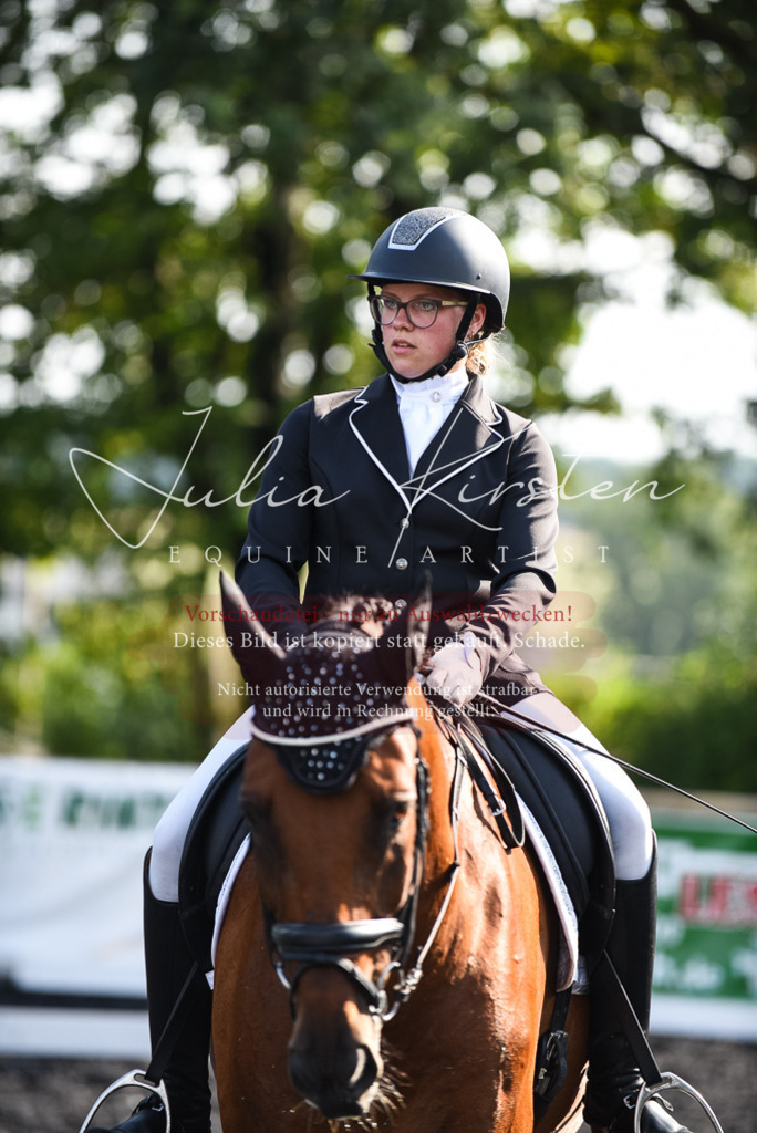 DSC_3161 | Pferde- und Turnierfotografie in Westsachsen. Pferdeportraits, Auftragszeichnungen und intuitive Kunst.