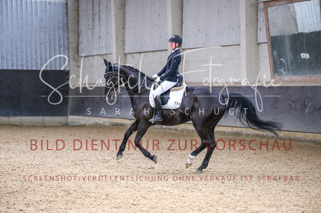 Schugtsche-Aluta25-57.Dressurprf.M1Kand-146 | Schugtsche Fotografie - Realizzato con Pictrs.com