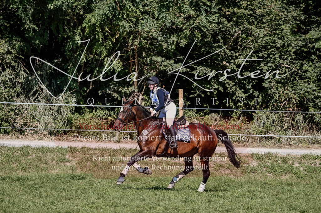 DSC_1833 | Pferde- und Turnierfotografie in Westsachsen. Pferdeportraits, Auftragszeichnungen und intuitive Kunst.