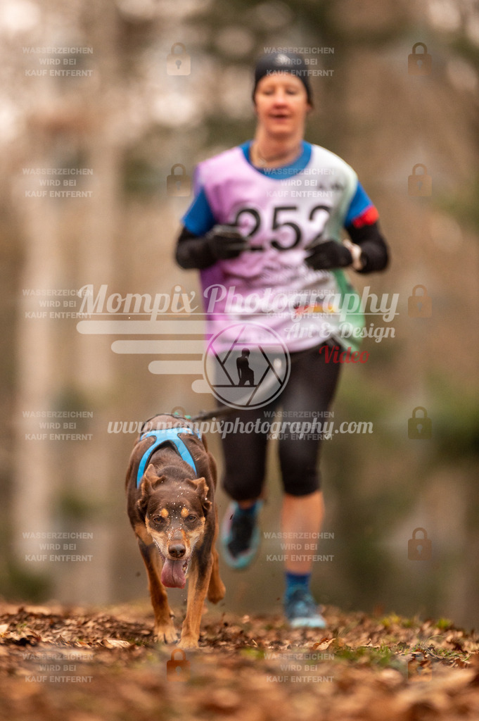 AKM_ST_2023_SAM_Run-127 | PayLife