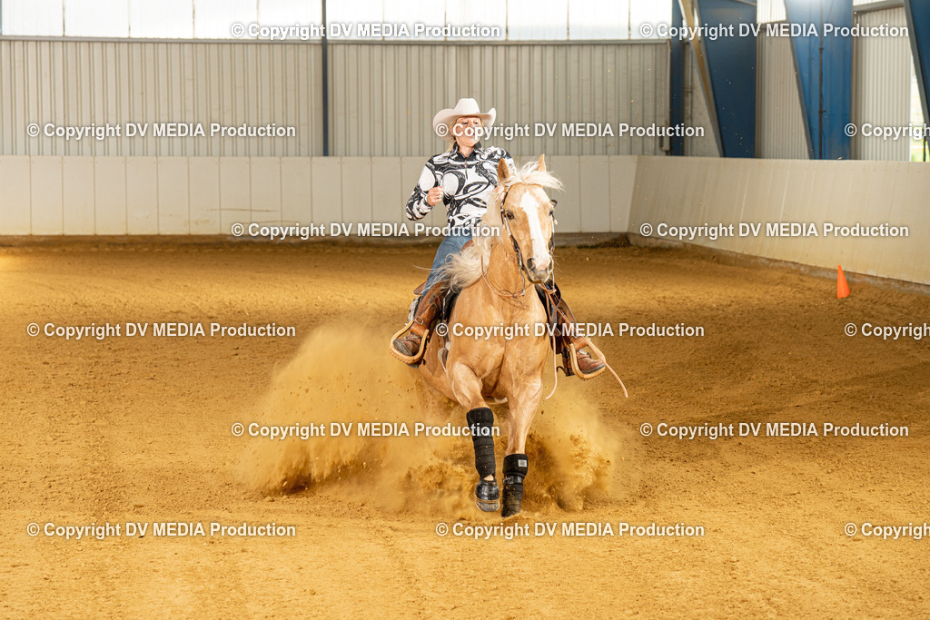 MIT00217 | dv-media-shop - Realisiert mit Pictrs.com