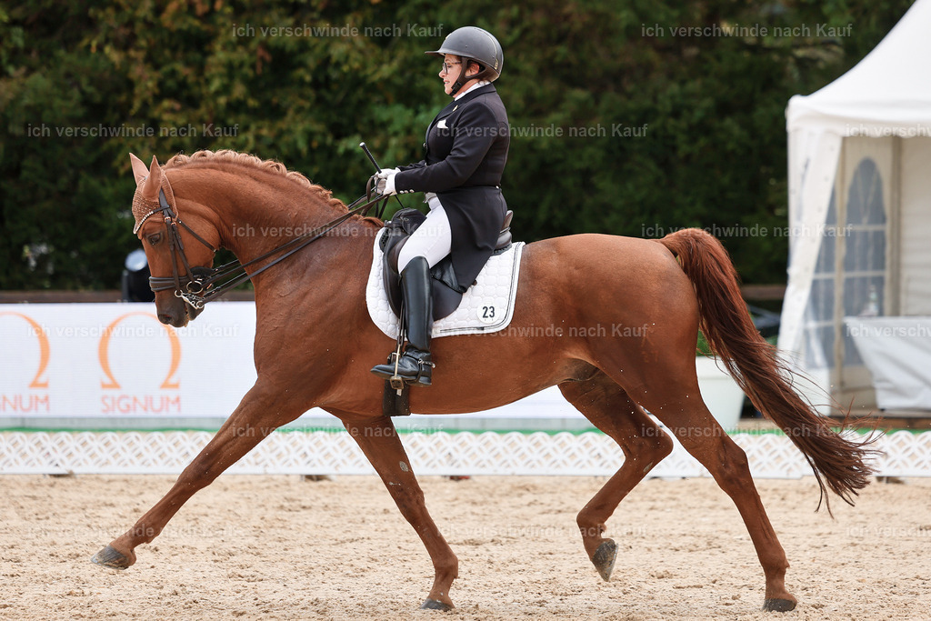 07-023-DRESSUR  S___  -StoibPH-5040 | working equitationturnier fotograf videograf stoibphotography marixx film working equitation deutschland reitsport turnierfotografie eventfotografie equestrian events