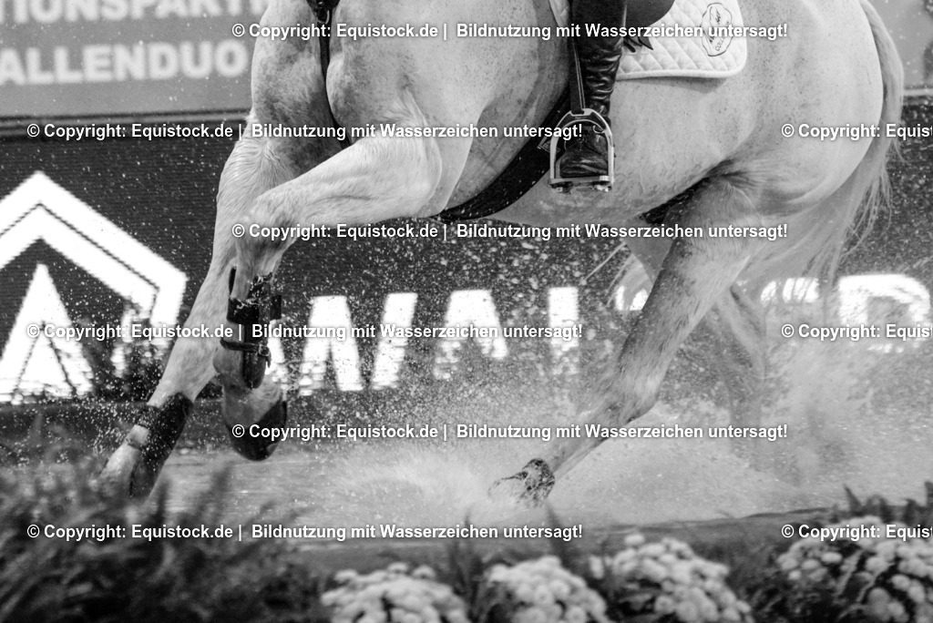 20151118_TOMsPiC_IndoorDerby_0159 | equistock