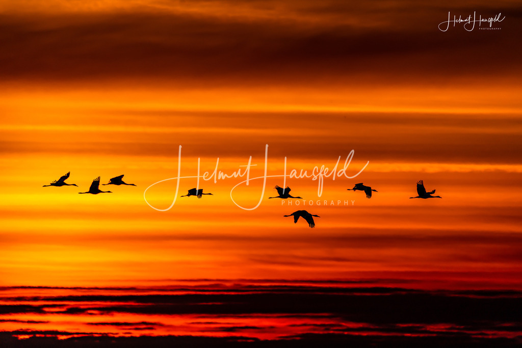 DSC00233 | Landschaftsfotografie, Naturfotografie - Realisiert mit Pictrs.com