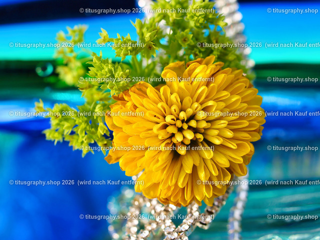 titusgraphy_P6207777-vz-ln | titusgraphy-shop: Geschenkideen mit Qualitätsfotos. titusgraphy-shop: gift ideas with quality photos. titusgraphy-shop: idées cadeaux avec photos de qualité.  - Realisiert mit Pictrs.com