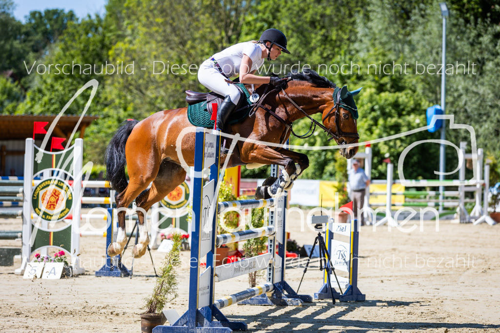 Donop24-M-Spr-014 | MomenTaufnahmen Pferdesportfotos