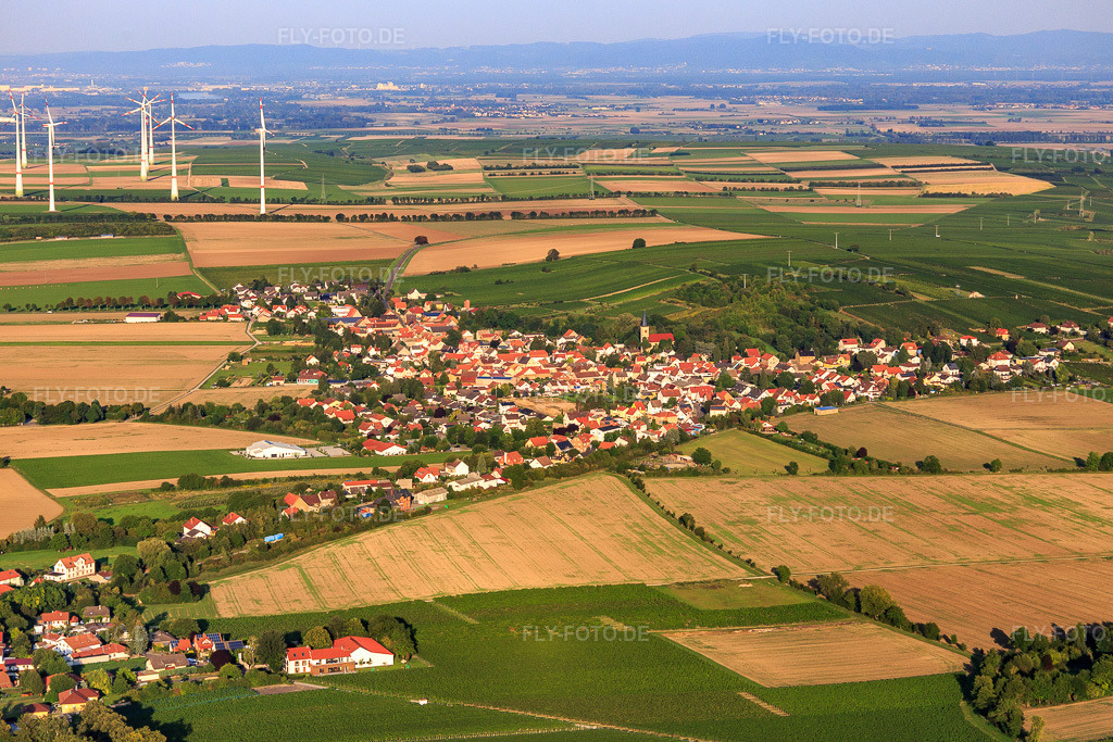 Luftbild: Ortsansicht von Westen im Ortsteil Heßloch in Dittelsheim-Heßloch im Bundesland Rheinland-Pfalz in Deutschland. Foto: IMG_103163.jpg vom 29.08.2017 durch Werner Riehm/FLY-FOTO.de