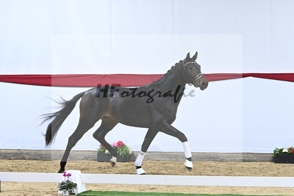 Kat-Nr. 53 v. Marc Cain_van der Raadt_63221487 | hf-fotografie - Realizzato con Pictrs.com