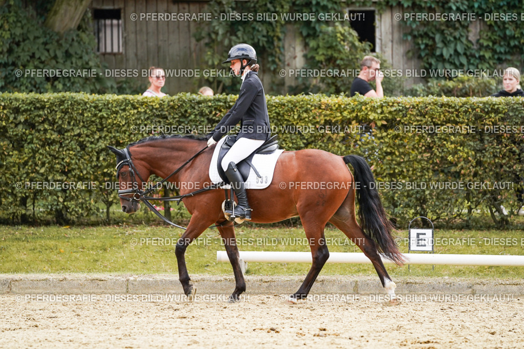 DSC00821 | Pferdegrafie