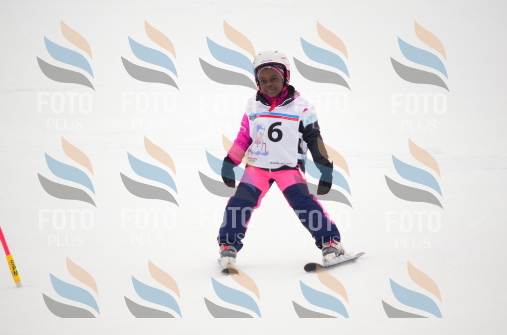 B9295 | holidayphoto