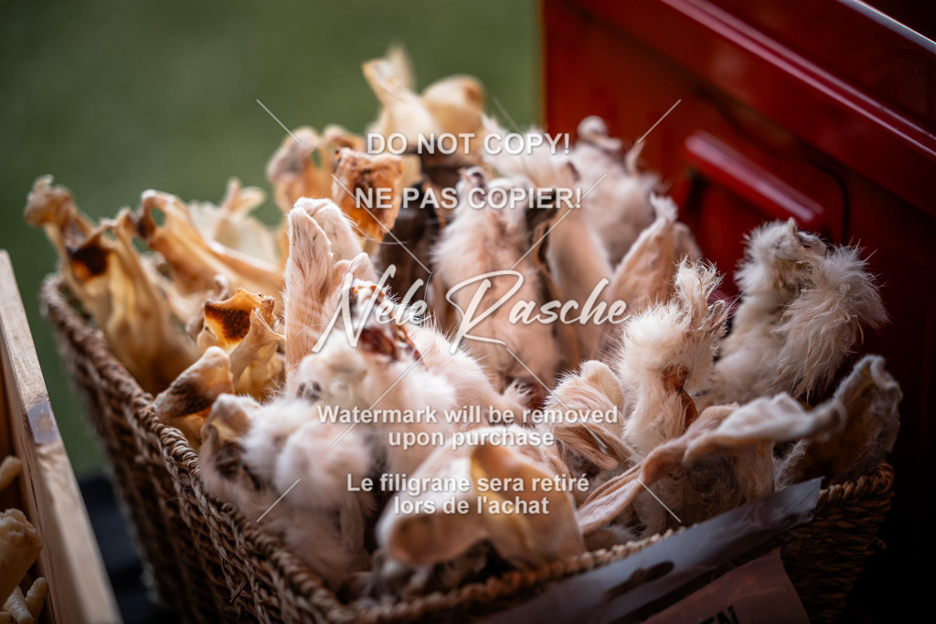 nelerasche_SaAbends_499 | nelerasche