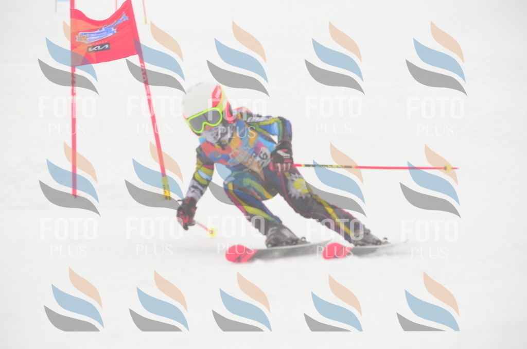 C1594 | holidayphoto