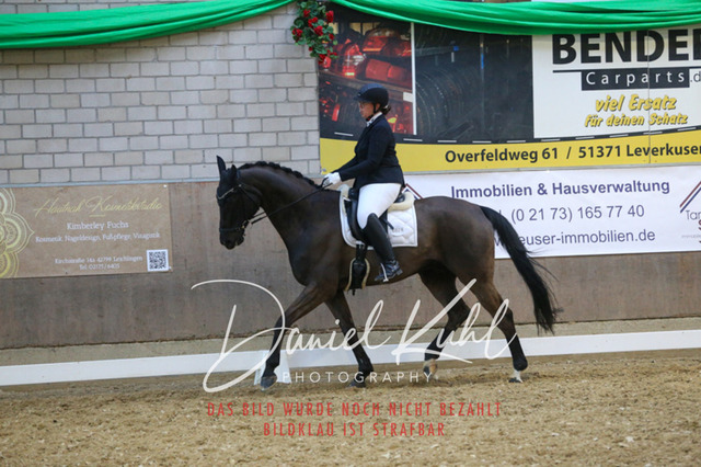 IMG_2895 | Turnierfotos kaufen im Webshop von Daniel Kuhl Photography – entdecke professionelle Reitsportfotos aus Turnieren & Events. Hochwertige Turnierbilder online bestellen & sichern. Jetzt Fotos von Reitsportturnieren kaufen!