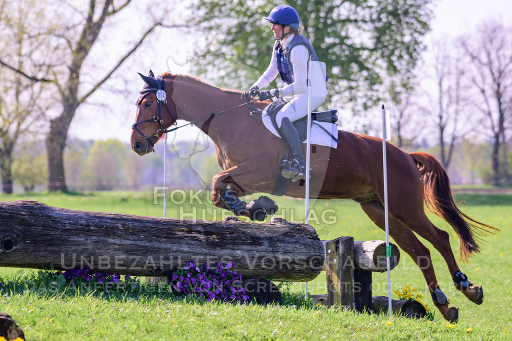 18042026-Gernlinden-03-0221 | Fokus Hufschlag Fotografie - Realisiert mit Pictrs.com
