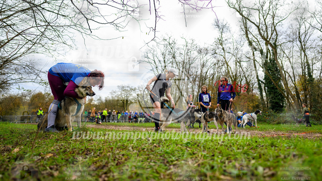 MompixPhotography_Bischwiller24_DI_CoursedeRelais-1 | PayLife