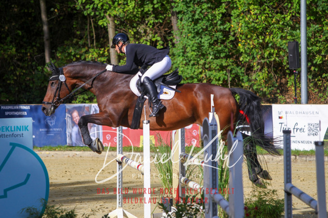 DKP42456 | Turniersportfotografie; Pferdefotografie; Dressurfotografie