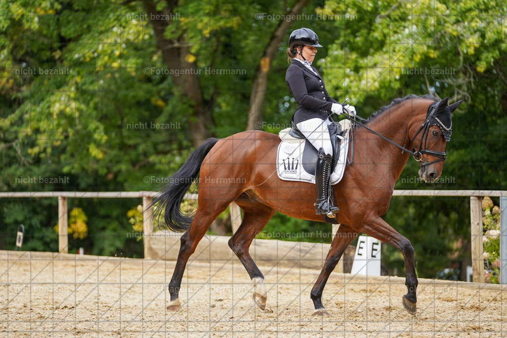 20231007-SN_00621 | Diessen am Ammersee, 2023, Dressur- und Springturnier, Reitsport, Turnierfotografie, Pferdebilder, Reitbilder, Turnierfotografen Bayern, Fotoagentur Herrmann