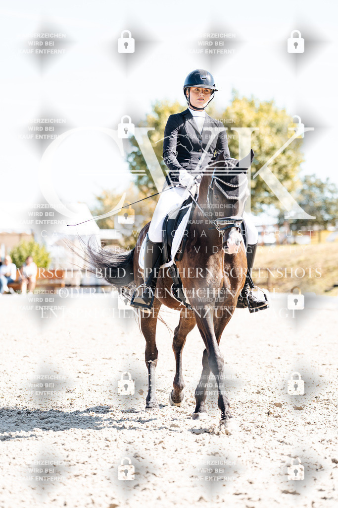 CK909510 | Turnierfotografie Pferdefotografie Trier Rheinland-Pfalz Pferdesport Reitsport Tierfotografie Sportfotografie Pferdevideo Pferdevideografie Equestrianvideography equestrianphotography  - Realisiert mit Pictrs.com