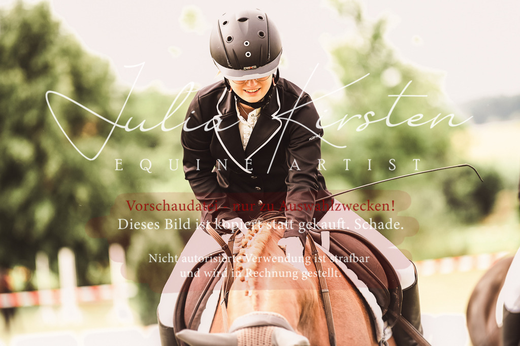 DSC_4874 | Pferde- und Turnierfotografie in Westsachsen. Pferdeportraits, Auftragszeichnungen und intuitive Kunst.