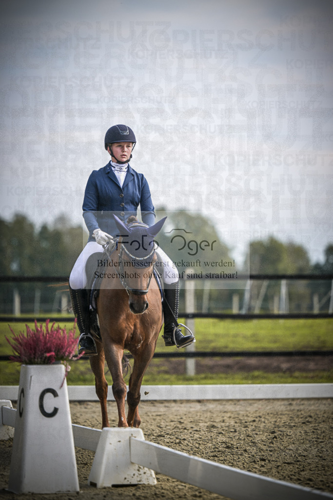 DOS_B165 | Entdecke hochwertige Reitturnierfotos von Foto Oger. Professionell, emotional und authentisch – jetzt Lieblingsmomente im Shop bestellen.Deutschlandweite Turnierfotografie. - Realisiert mit Pictrs.com