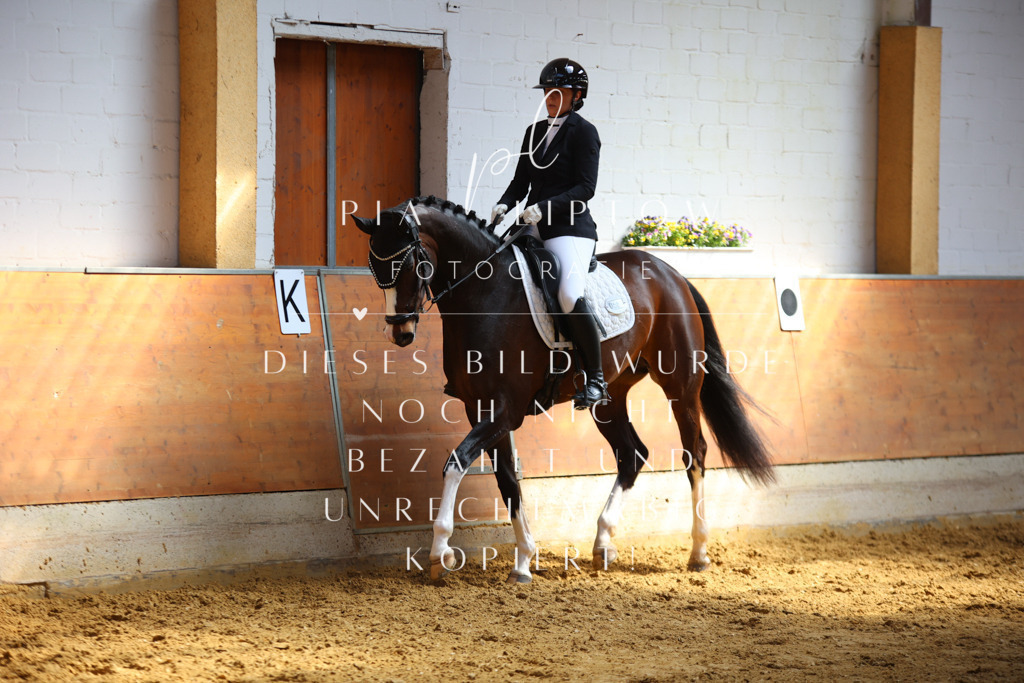 IMGT7414 | pl-fotografie