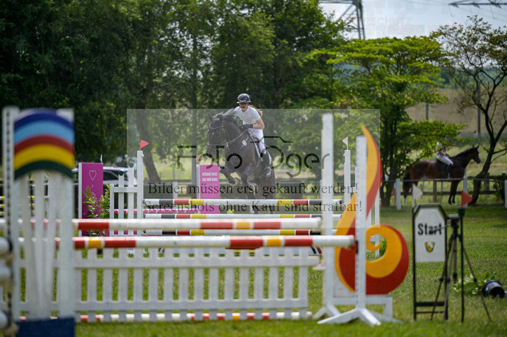 Reitturnier Voxtrup | Entdecke hochwertige Reitturnierfotos von Foto Oger. Professionell, emotional und authentisch – jetzt Lieblingsmomente im Shop bestellen.Deutschlandweite Turnierfotografie. - Realisiert mit Pictrs.com
