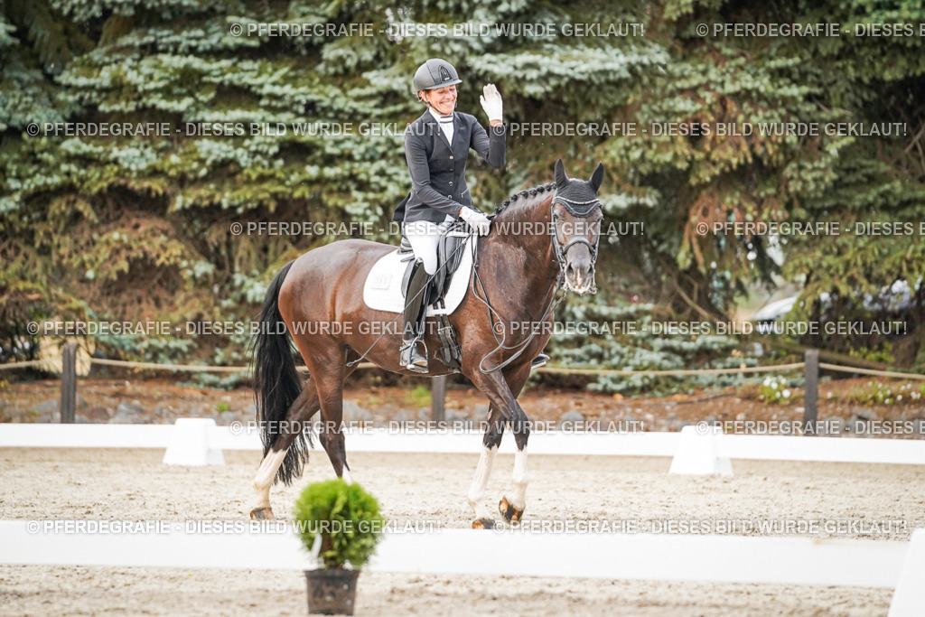 DSC09058 | Pferdegrafie